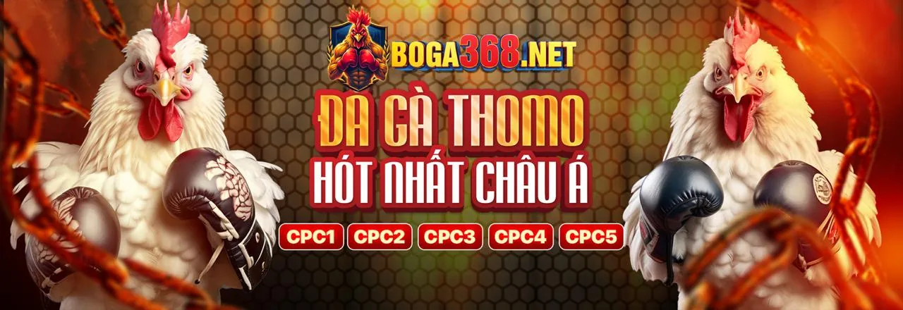 Đá gà trực tuyến VE88