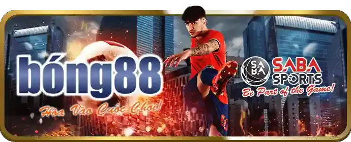 Câu hỏi thường gặp về ve88 trang chủ